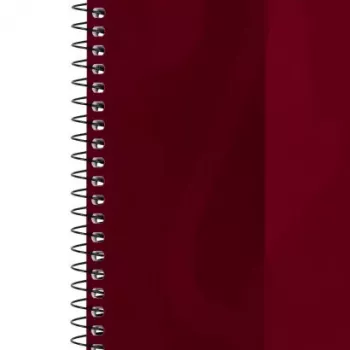 Rakstu klade Oxford 100050355 A4 80 lapas bordo