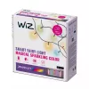 WiZ Fairy Light 20M - viedā virtene, Wi-Fi/Bluetooth, melna