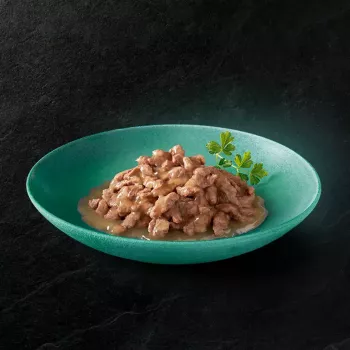 Sheba Kitten garšu izlase mērcē slapjā barība kaķēniem 40×85 g