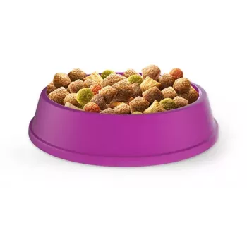 Whiskas Adult 1+ ar vistu sausā kaķu barība, 14 kg