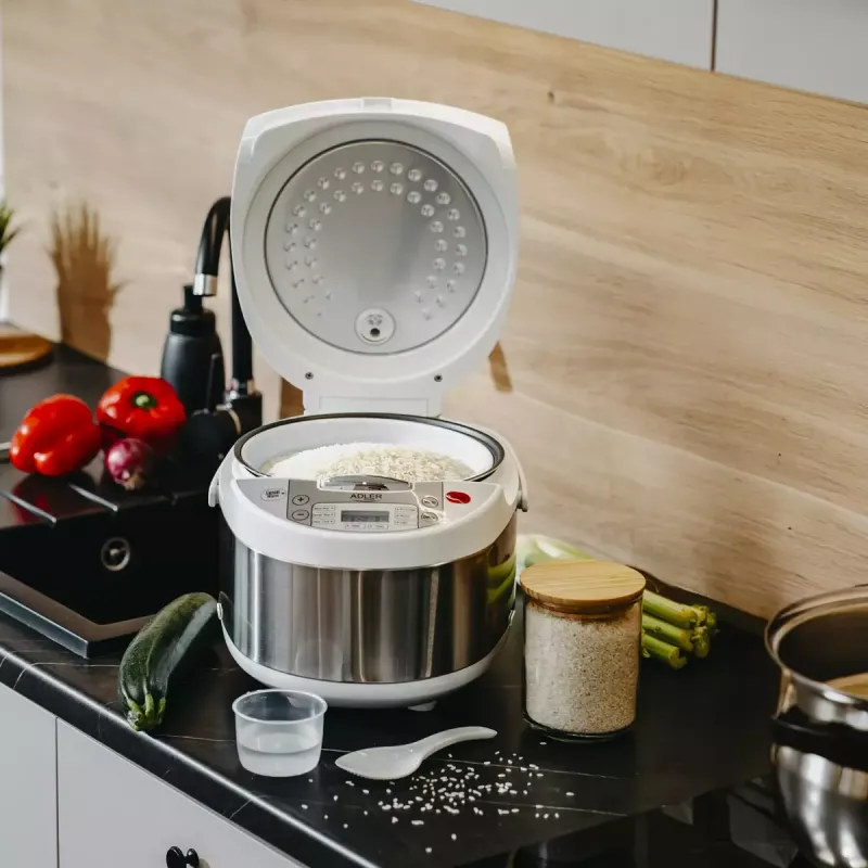 Multivārāmā katliņa Adler AD 6420 — 700 W, 3.25 L, 6 programmas, LED displejs