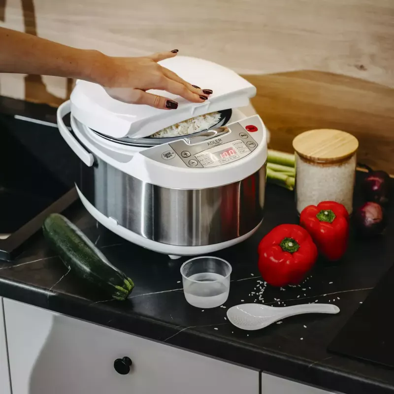 Multivārāmā katliņa Adler AD 6420 — 700 W, 3.25 L, 6 programmas, LED displejs