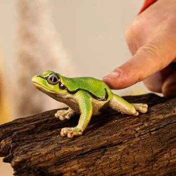 Schleich WILD LIFE Eiropas koku varde, 3+ gadi