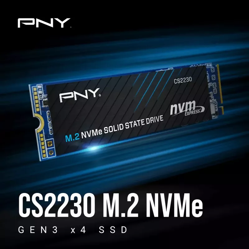 SSD disks PNY 500GB M.2 2280 PCI-E x4 Gen3 NVMe M280CS2230-500-RB