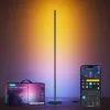 Govee Matter RGBICW H8076C13 grīdas lampa – viedais LED apgaismojums ar RGBIC un regulējamu baltumu
