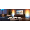 Govee Matter RGBICW H8076C13 grīdas lampa – viedais LED apgaismojums ar RGBIC un regulējamu baltumu