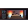 Govee Matter RGBICW H8076C13 grīdas lampa – viedais LED apgaismojums ar RGBIC un regulējamu baltumu