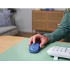 Trust Yvi+ pele Universāla Ambidekstrāla RF Bezvadu + Bluetooth Optiskā 1600 DPI