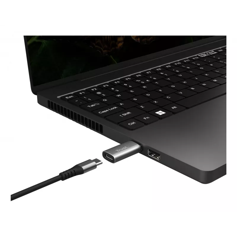 Trust Calyx USB-A uz USB-C adapteris (2 gab.) pelēks