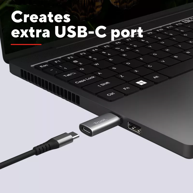 Trust Calyx USB-A uz USB-C adapteris (2 gab.) pelēks
