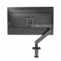 AOC AM400B monitora statnis 34 collām, galda stiprinājums, skava/caurums