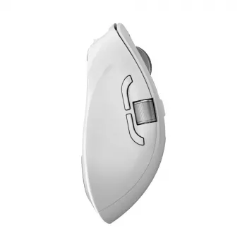 Pele ALOGIC Apex Bluetooth USB-C uzlādējama