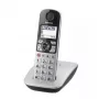 DECT telefons Panasonic KX-TGE510GS
