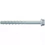 Skrūve Fischer 536855 100 mm
