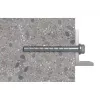 Skrūve Fischer 536856 110 mm 50 gab.