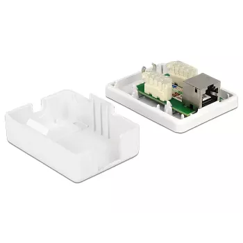 DeLOCK 86169 RJ-45 kontaktligzda, virsmas montāža, balta