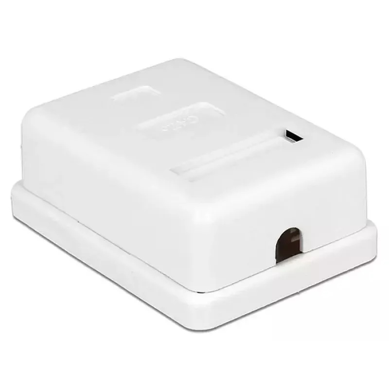 DeLOCK 86169 RJ-45 kontaktligzda, virsmas montāža, balta