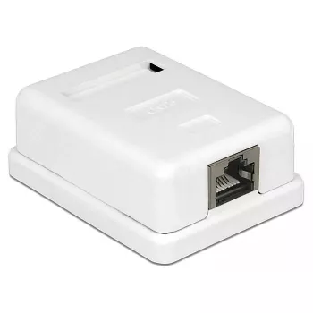 DeLOCK 86169 RJ-45 kontaktligzda, virsmas montāža, balta