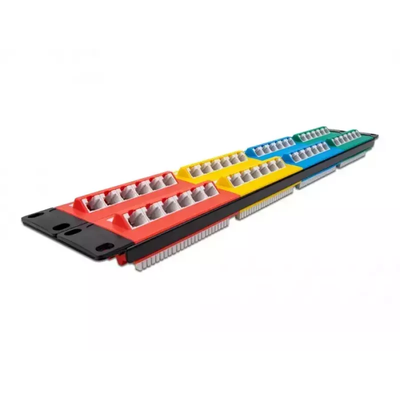 DeLOCK 19 collu Patch Panel 48 portu Cat.5e 2U krāsains RJ-45