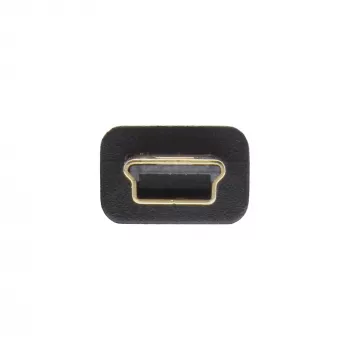 InLine USB 2.0 plakanais kabelis USB Type A vīrišķais / Mini-B vīrišķais 5 kontaktu melns/zelta 2m