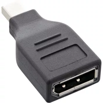 InLine DisplayPort adapteris, mini DisplayPort vīriešu / DisplayPort sieviešu, 4K/60Hz
