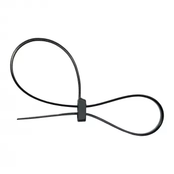 Kabeļu saites InLine montāžas dubultgalvas 300 mm x 4,8 mm, neilons, melnas, 100 gab.