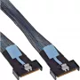 InLine 27661B SAS kabelis 0.75 m 24 Gbit/s Melns, Zils, Pelēks