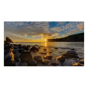 Samsung IF015R 15 collu LED displeja panelis 640x360