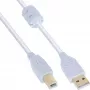 InLine USB 2.0 kabelis A tipa vīrišķais / B tipa vīrišķais, apzeltīti kontaktdakši, ar ferīta serdi, balts, 3 m