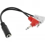 InLine Audio Plane adapteris austiņām, 2x 3.5mm vīriešu uz 3.5mm sieviešu 3 kontaktu, 0.15m