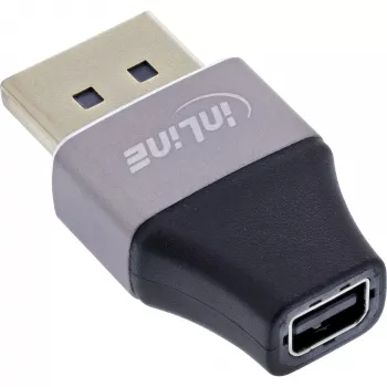 InLine 17291B adapteris DisplayPort uz Mini DisplayPort, melns, pelēks