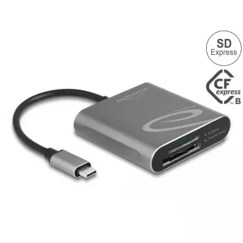 Karšu lasītājs DeLOCK 91000 USB 3.2 Gen 2 Type-C Pelēks CFexpress SD