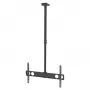 Manhattan griestu stiprinājums televizoriem un monitoriem, 37–75 collas, regulējams augstums 105–156 cm, VESA 200x200–800x400 mm, līdz 50 kg
