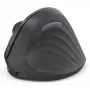 Hama EWM-600R pele Office, labā roka, RF bezvadu + Bluetooth, optiskā, 1800 DPI