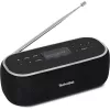 Pārnēsājamais radio TechniSat 0000/3968