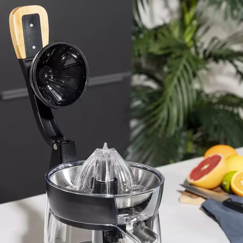 Citrus spiede Princess 201862 melna caurspīdīga 1L 300W