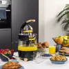 Citrus spiede Princess 201862 melna caurspīdīga 1L 300W