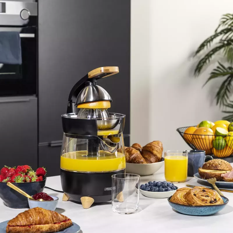 Citrus spiede Princess 201862 melna caurspīdīga 1L 300W
