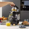 Citrus spiede Princess 201862 melna caurspīdīga 1L 300W