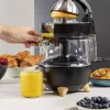 Citrus spiede Princess 201862 melna caurspīdīga 1L 300W