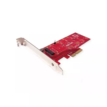 ROLINE 15.06.2196 PCIe 4.0 saskarnes karte 3.3V 5A