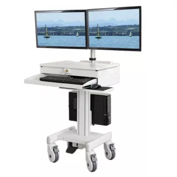Divkāršs stiprinājums All-in-One PC/darbstacijām ROLINE 17.03.1175