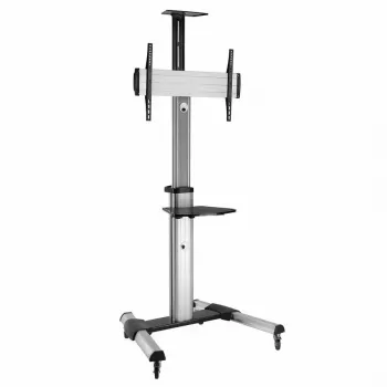 TV stiprinājums ROLINE 17.03.1260 177.8 cm (70 collas)