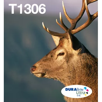 Epson T1306 DURABrite Ultra tintas kasetņu komplekts 3 krāsas (Ciāna, Magenta, Dzeltena) XL izturība, 3 gab.