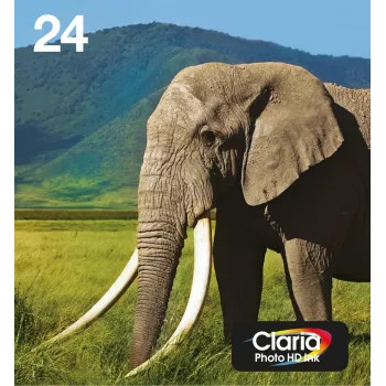 Epson Multipack 6-krāsu kasetnes 24 EasyMail — 6 gab., standarta ietilpība, Melna/Cian/Gaiši Cian/Magenta/Gaiši Magenta/Dzeltena