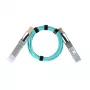 BlueOptics Q28-AOC-2M-NV-BO InfiniBand optiskais kabelis 2m QSFP28 vīriešu/vīriešu