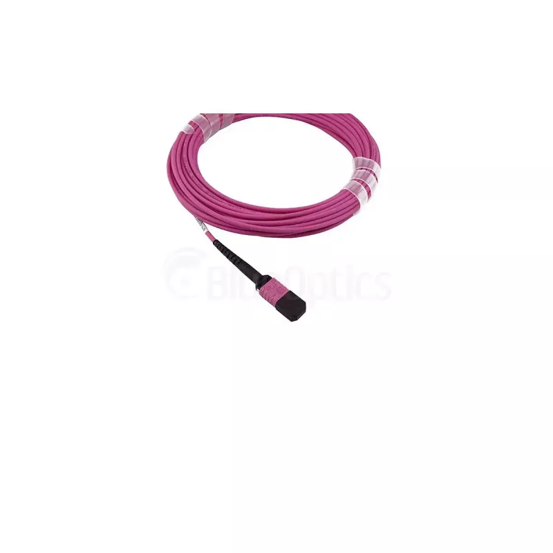 Optiskās šķiedras kabelis BlueOptics SFP5252FU50MKB MPO OM4 50 m violets