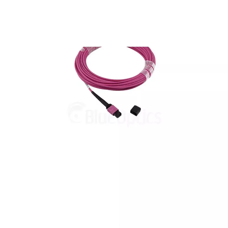 Optiskās šķiedras kabelis BlueOptics SFP5252FU50MKB MPO OM4 50 m violets
