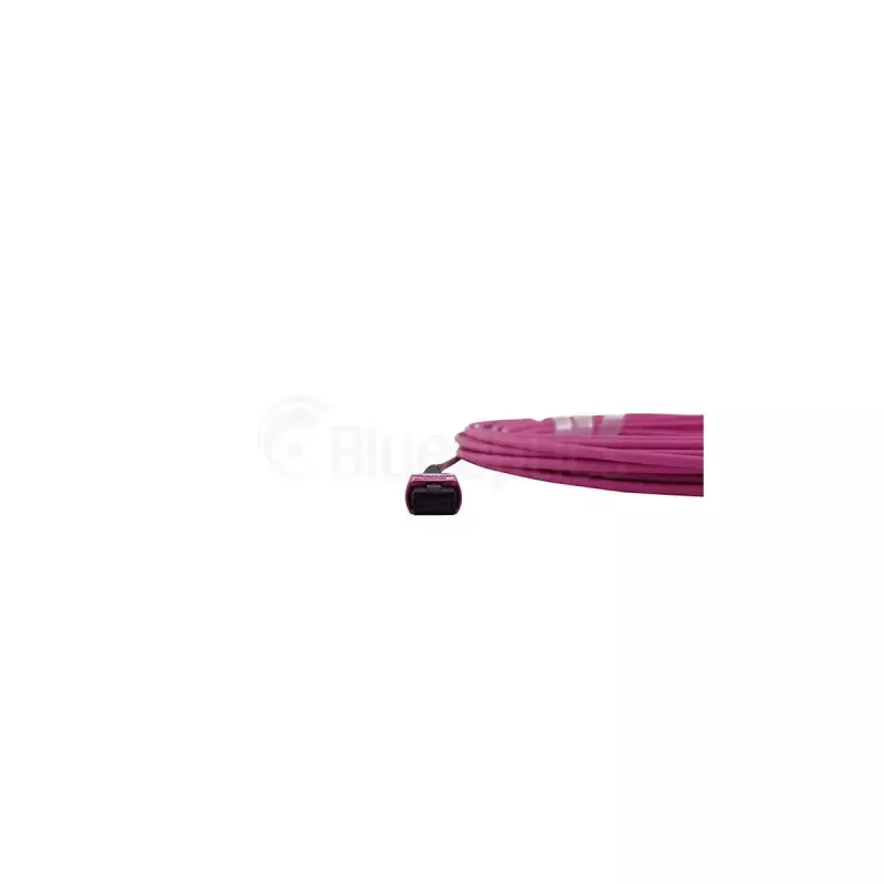 Optiskās šķiedras kabelis BlueOptics SFP5252FU50MKB MPO OM4 50 m violets
