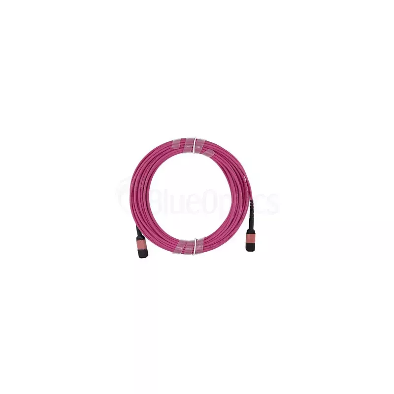 Optiskās šķiedras kabelis BlueOptics SFP5252FU50MKB MPO OM4 50 m violets